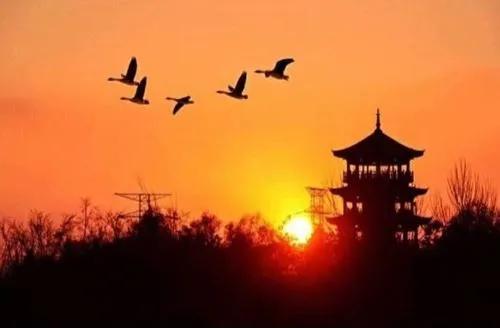 步韻詩·秋思懷遠