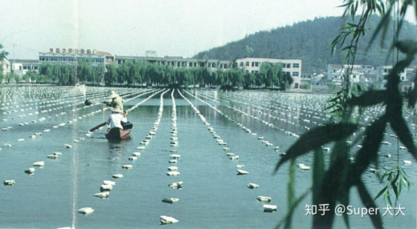 李佳琦的女生們買出了多少冠軍小鎮？