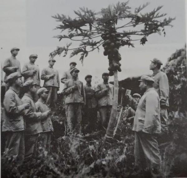 援越援老抗美秘聞《車輪滾滾》（六）汽車第二十四團六連被炸實錄