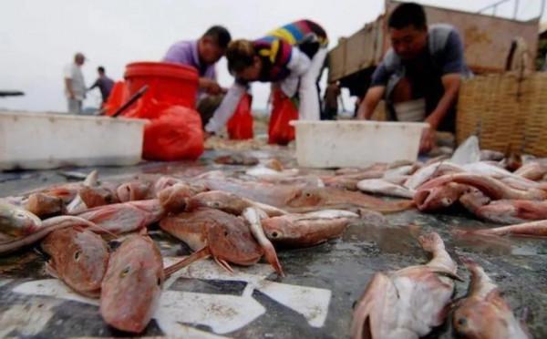 處暑“2吃2做2不碰”，祖輩的飲食智慧，請牢記！值得收藏