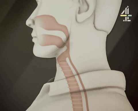 科學家得絕症後的超酷自救：人類史上第一個“永生者”誕生了