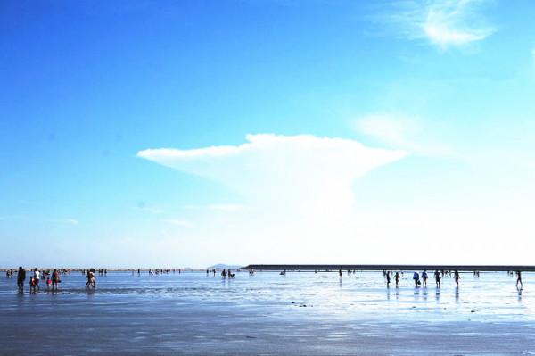 上海很美的大眾海灘，不要門票，車子免費停，螃蟹免費抓