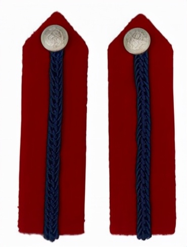 英國陸軍禮服的徽章五花八門,你學會識別郡尉的標誌了嗎? 英國陸軍禮服的徽章五花八門,你學會識別郡尉的標誌了嗎?