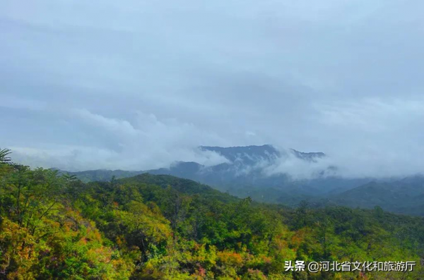 10月11日起，黃金寨免費入園！