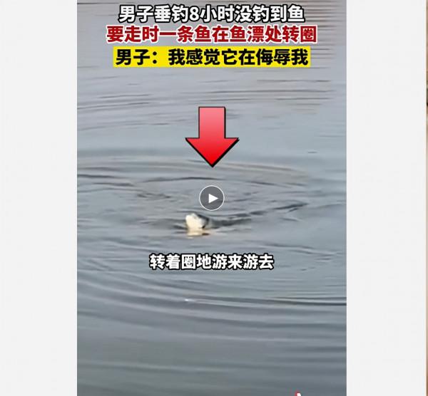 難得休息，垂釣多年的老釣手出門釣魚被魚“打臉”