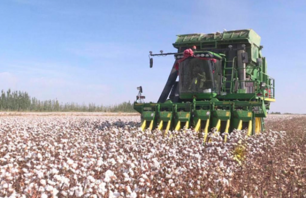 清華女博士石嫣：隱居山林種地11年收入800萬，未來農民是這樣？