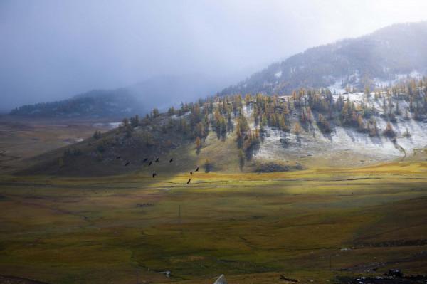 新疆，留給我的不只是美食與風光，而更多的是念念不忘