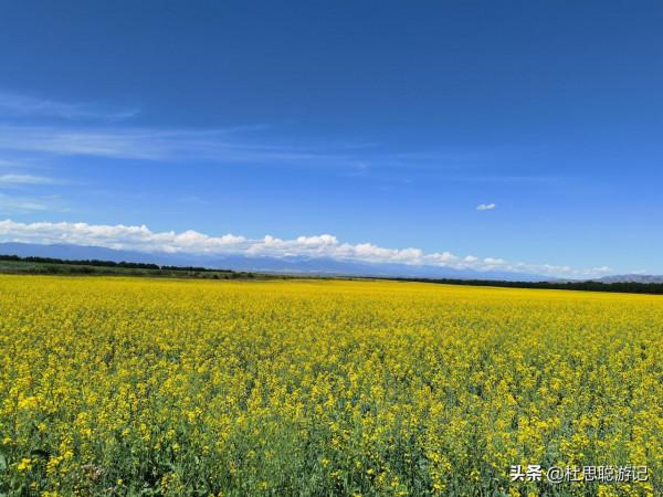 漢EV自駕新疆，昭蘇玉湖景區是很少遊客到來的地方，真的美