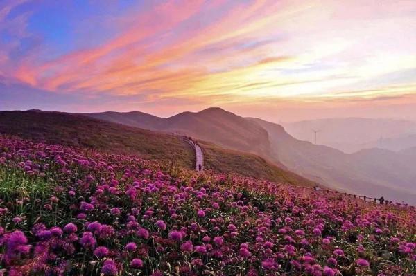 如果一生只能擁有兩場旅行，那我一定選雲南和貴州