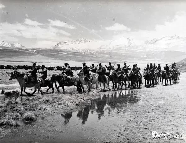 上世紀50年代，解放軍西北平叛，聚集全軍騎兵，進行大決戰