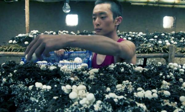 三刷《山海情》，三大感人細節，讀懂“扶貧路”的艱辛之處