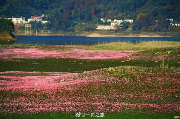 來吧！一起踏上秋天的旅途