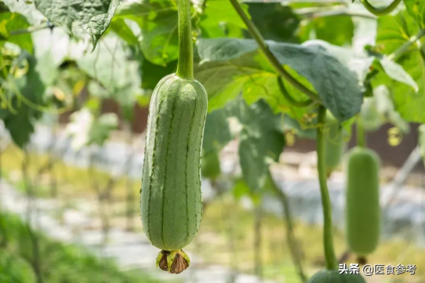 關節紅、腫、痛？巧調飲食，對抗關節炎