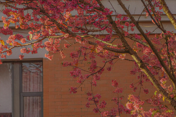 陰暗面很多的星座,很難看透,就像一池潭水,深不見底深不可測 陰暗面很多的星座,很難看透,就像一池潭水,深不見底深不可測