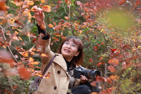 賞紅葉，不能早，也不能晚，時間一定要恰到好處