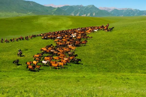 甘肅,不折不扣的“人間天堂”,25個景點美了千年,卻低調萬年~ 甘肅,不折不扣的“人間天堂”,25個景點美了千年,卻低調萬年~