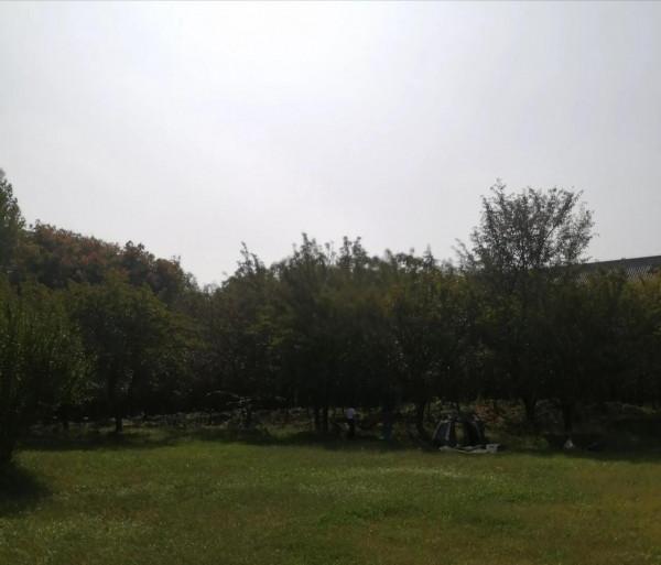 九仙山風景區:讓你不虛此行 九仙山風景區:讓你不虛此行