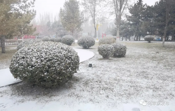 烏審～下！！雪！！啦！！