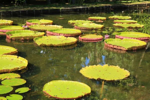 10年深度+豪華遊玩60國