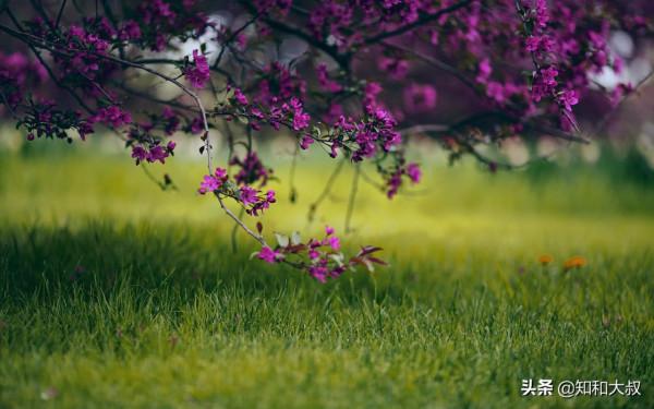 這四種“熟人”,不會對你好,最喜歡見不得你好 這四種“熟人”,不會對你好,最喜歡見不得你好