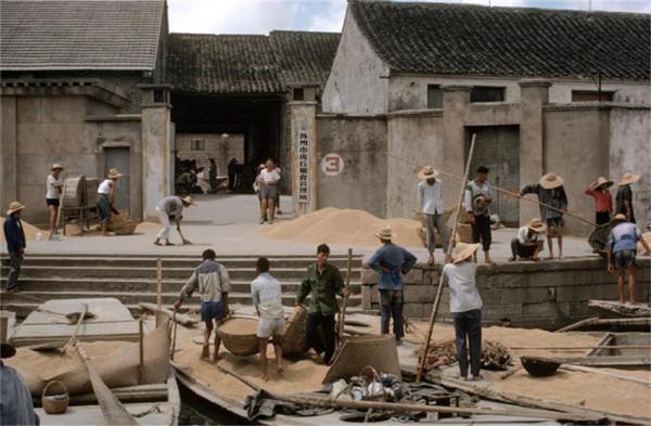 1979年的中國社會民情，6圖是當年“交公糧”的場面