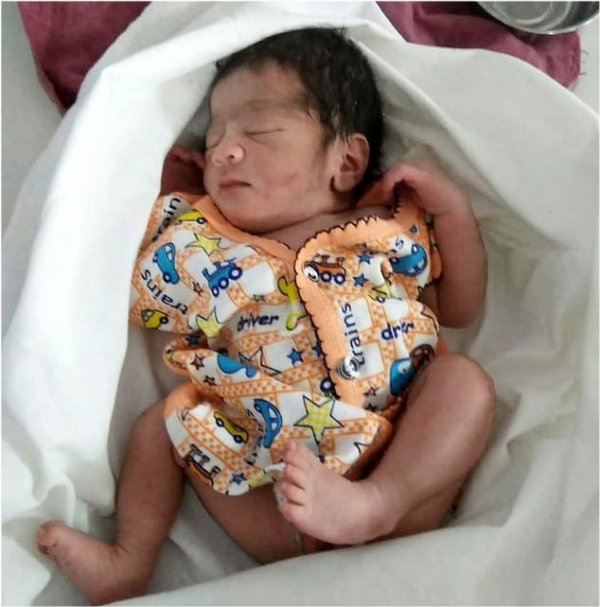 印度野外現暖人一幕！新生兒被遺棄田地，母狗帶寶寶依偎身旁供暖