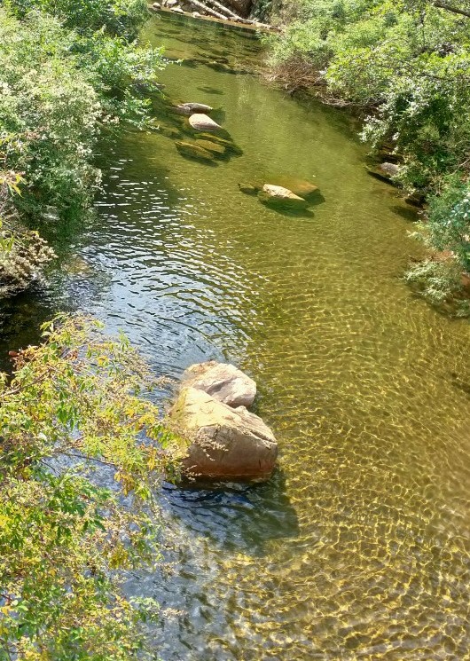 遊薊州梨木颱風景區 遊薊州梨木颱風景區