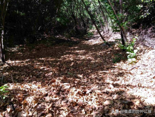 北京懷柔，1534米的高峰，不僅能俯瞰長城美景，甚至能夠遠眺京城