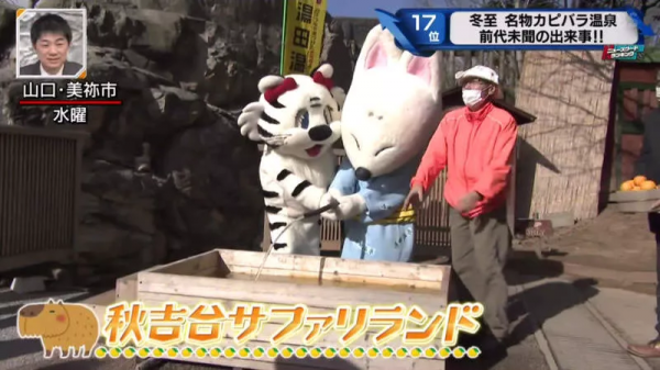 堅持不想泡澡的水豚｜日本冬至泡柚子湯傳統 遊客等了一個多小時