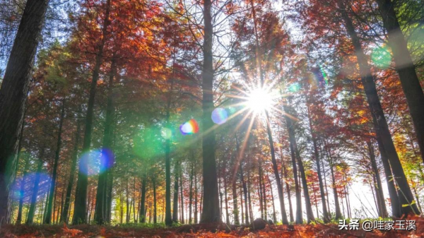 這個地方，會紅到你的心裡去