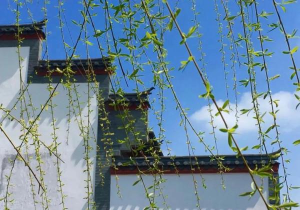 德量進光明，中庸藏玉珠