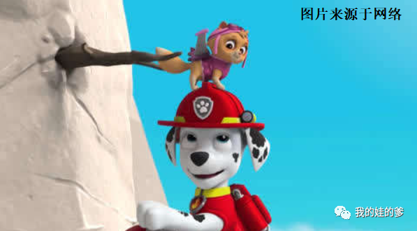 （汪汪隊立大功）毛毛的狗狗功夫