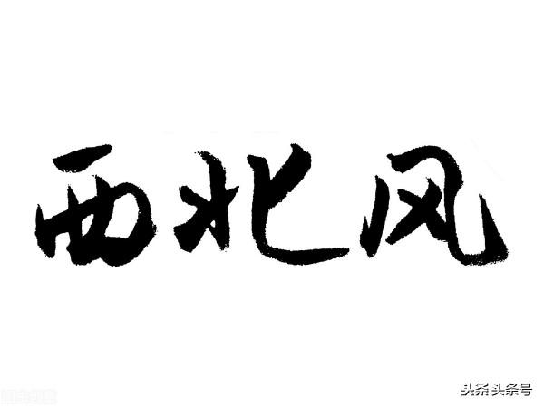 我國科學家突破二氧化碳人工合成澱粉技術,“西北風”可以喝了 我國科學家突破二氧化碳人工合成澱粉技術,“西北風”可以喝了