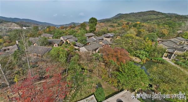 大悟紅葉漸入佳期（組圖）