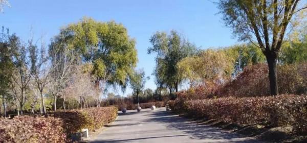 原創 | 秋日的私語-III故事集錦