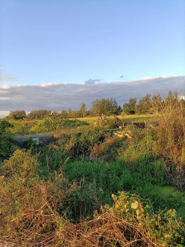 天顯意向了嗎？