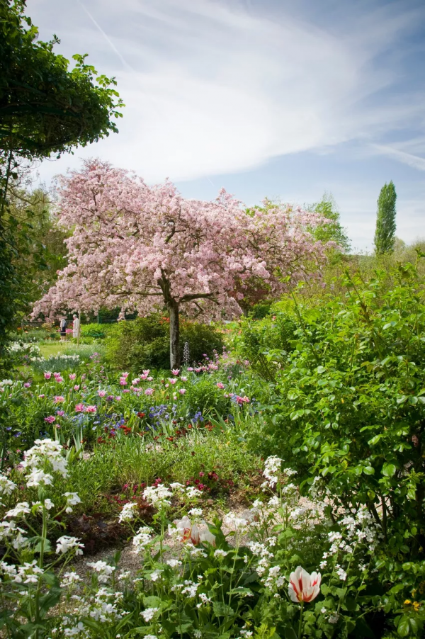 那些宛如人間仙境的小鎮 那些宛如人間仙境的小鎮