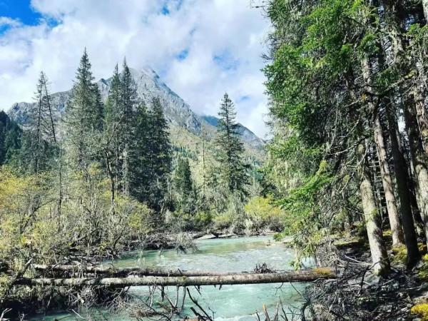 走,去川西看秋色大片 走,去川西看秋色大片