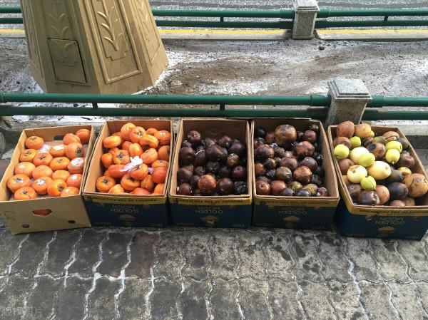 東北的8大“另類”美食，當地人引以為傲，外地人卻不敢下口