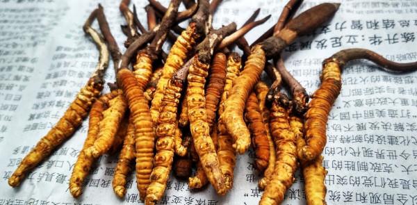 砷是一種劇毒的物質,這3種食物裡面就有,一定要警惕,別隨便吃 砷是一種劇毒的物質,這3種食物裡面就有,一定要警惕,別隨便吃