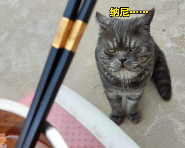 味道奇怪但很受歡迎的八大小吃，你吃過哪些