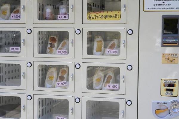 「日本」九州中部久留米-熊本-天草四日之旅