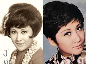 曾被周星馳誣陷,被張柏芝捅刀,細數向太陳嵐娛樂圈的愛恨情仇 曾被周星馳誣陷,被張柏芝捅刀,細數向太陳嵐娛樂圈的愛恨情仇