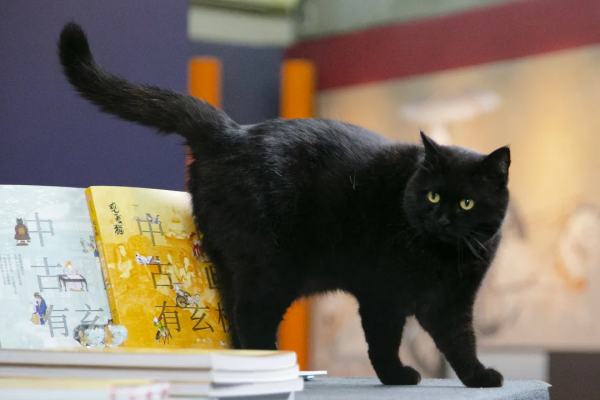 秋膘貼得好不好,體重秤上見分曉 秋膘貼得好不好,體重秤上見分曉