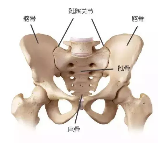 新手媽媽一夜之間“癱瘓”在床，有這種情況的人千萬要注意