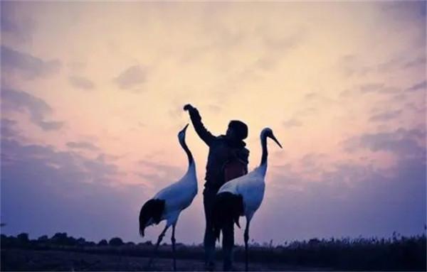 丹頂鶴女孩犧牲27年後，弟弟同樣在保護區殉職，今侄女接過接力棒