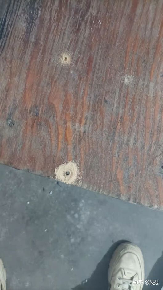 為什麼我會說你需要一個電鑽？方便好用的威克士WE212測評