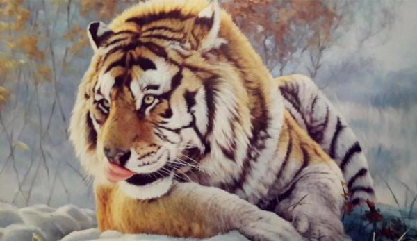 虎年縱覽老虎圖片、話老虎