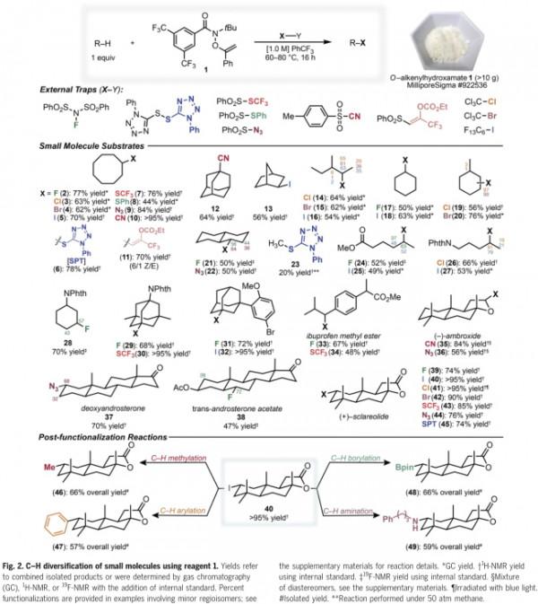 小分子和聚烯烴中脂肪族C-H鍵透過自由基鏈轉移的多樣化反應