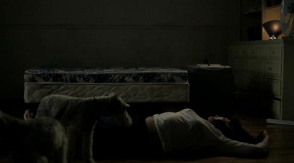 美國當代“福爾摩斯”李昌鈺，細節“怪物”，偵破震驚全美姦殺案